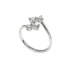Chiara Ferragni Ringe-Silver Ring - J19AXD280