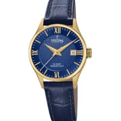 Festina Lederarmband-Swiss Made - F20011/3