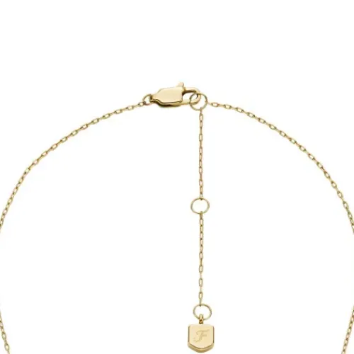 Fossil Schmuck Set-Jewelry Set - JF04815SET