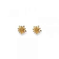 Helen Kirchhofer Gold Classics Ohrringe-HK Gold Classics Ohrstecker Gelbgold 750/18k Edelweiss - 1163.02155/0003