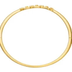 Michael Kors Armbänder-Premium Armreif - MKC1735CZ710