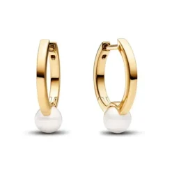 Pandora Ohrringe-Behandelte Süsswasserperle Creolen - 263170C01