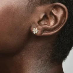 Pandora Ohrringe-Funkelnde Herbarium Cluster Ohrringe - 262633C01