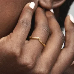 Pandora Ringe-Polierter Wishbone Ring - 168742C00