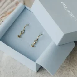 Paul Hewitt Ohrringe-The Anchor II Hoops Ohrring Gold - PH-JE-1243