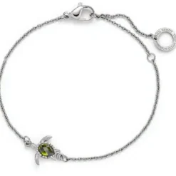 Paul Hewitt Armbänder-Turtle Mono Armkette Silber - PH-JE-0664