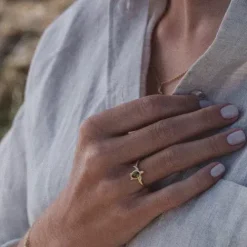 Paul Hewitt Ringe-Turtle Ring Gold