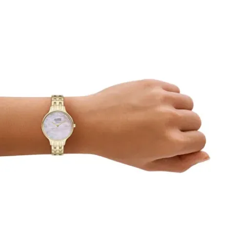 Skagen Metallarmband-Anita Lille - SKW3165