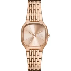 Skagen Metallarmband-Mellem Lille - SKW3166