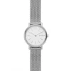Skagen Metallarmband-Signatur Lille - SKW2692