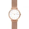 Skagen Metallarmband-Signatur Lille - SKW2694