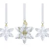 Swarovski Dekorationen-Annual Edition 3D Ornament Set 2024 - 5674410