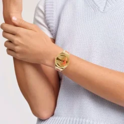 Swatch Textilarmband (Nato)-Golden Red Bamboo - SYXZ105