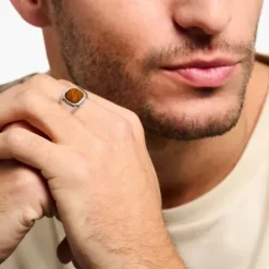 Thomas Sabo Ringe-Ring Tigerauge - TR2388-826-2